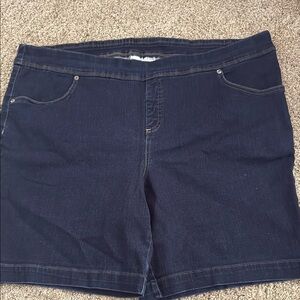 Terra & Sky Blue Jean Shorts Elastic Waist